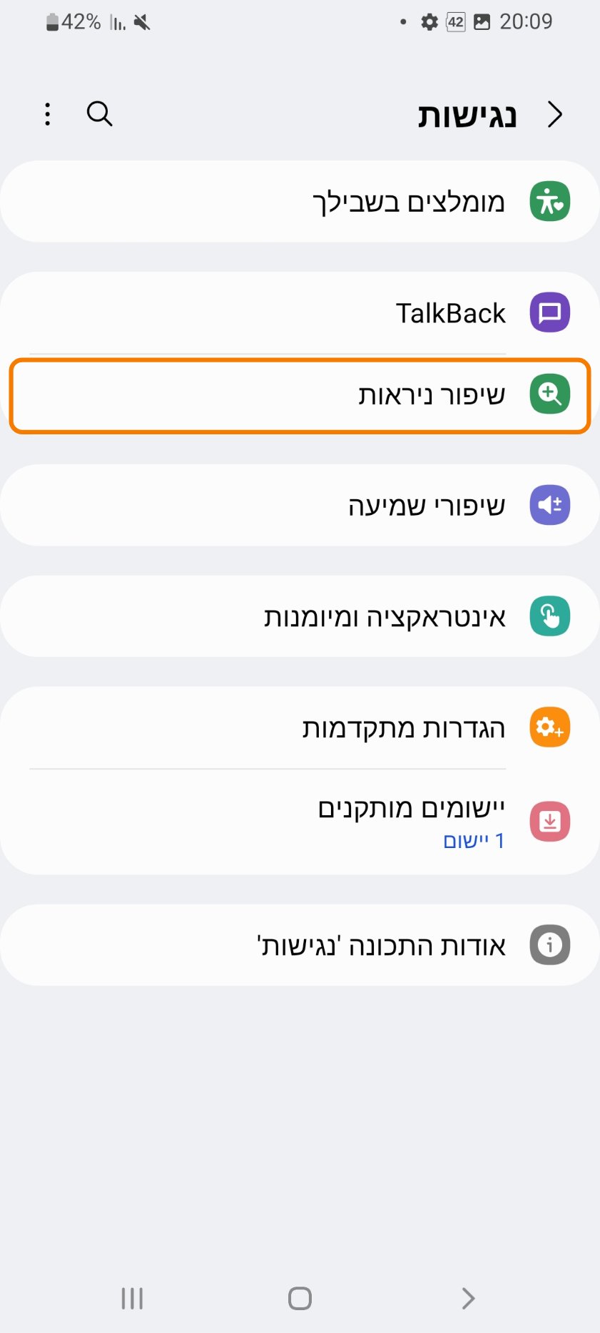 מסך הנגישות. מסגרת כתומה מסמנת את האפשרות שיפור ניראות.
